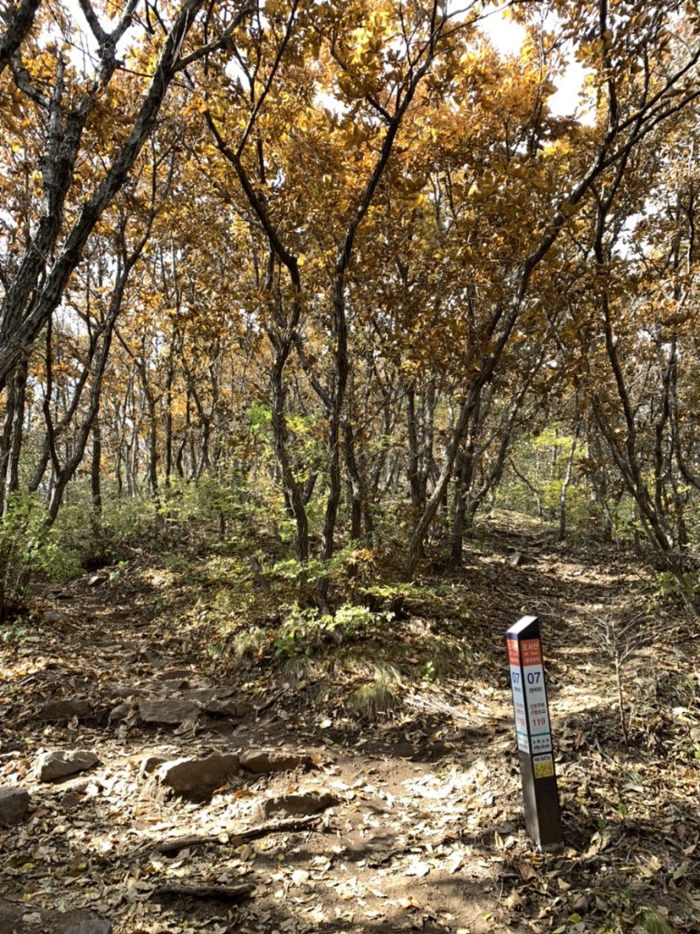 오서산 최단코스 [BAC 100대명산 / 보령 오서산 최단코스] 오서산자연휴양림 ~ 월정사 67