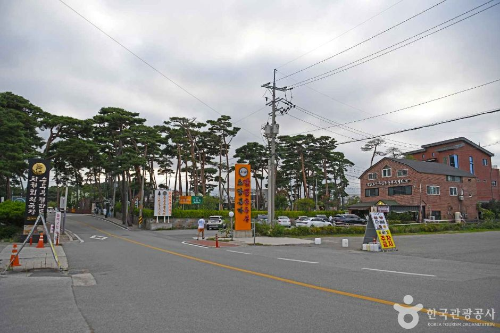 강릉 가볼만한 곳 초당순두부마을