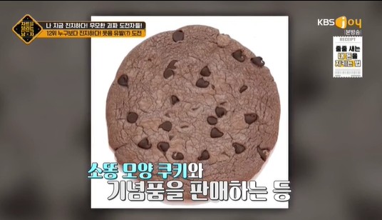 소똥모양쿠기
