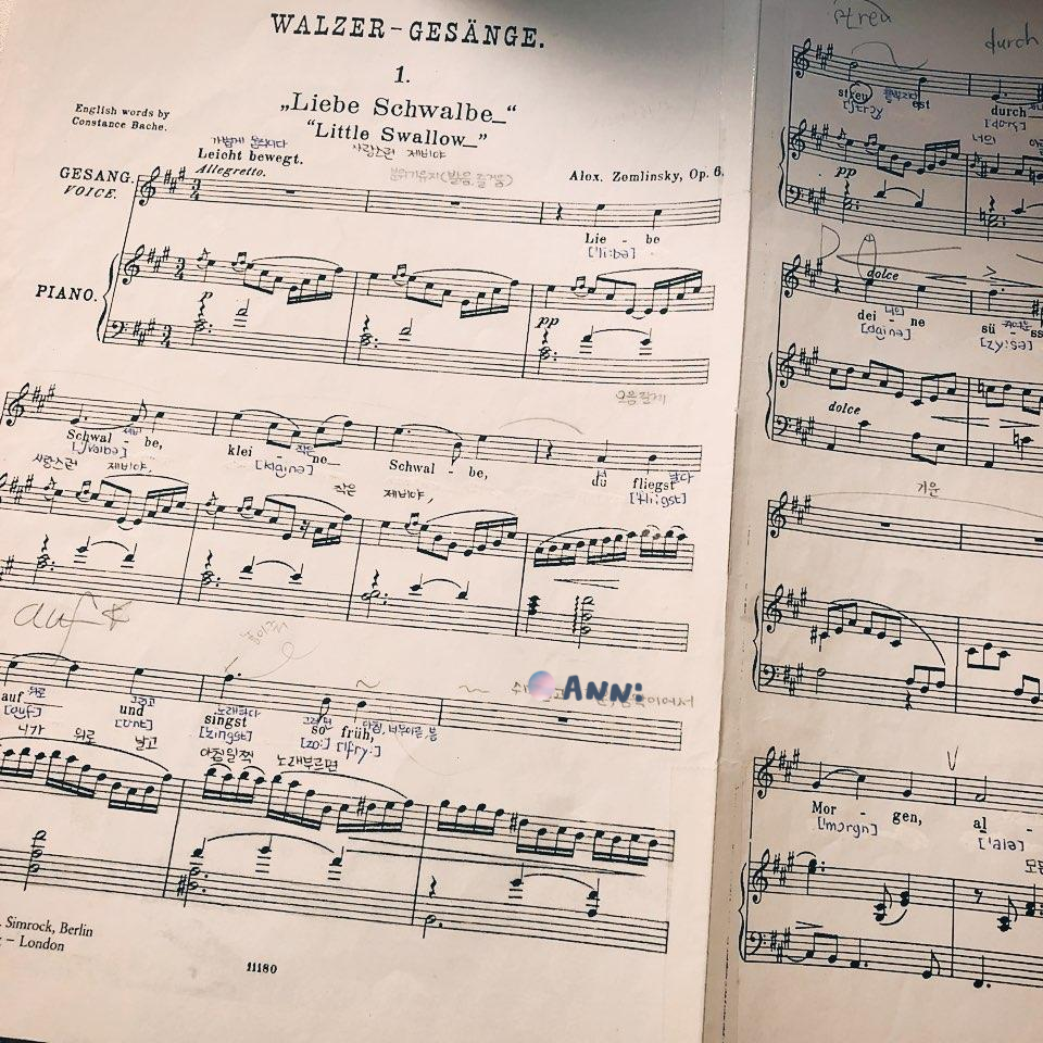  쳄린스키 가곡: Walzer Gesange - 1. Liebe Schwalbe