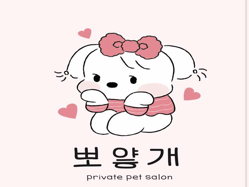충청남도 서산시 애견미용 잘하는 곳 BEST4 | 애견미용샵 추천 | 애견 미용 후기 | 푸들 비숑 포메 미용 | 목욕 서비스 인기 | 가용 비용 총정리 - 4. 뽀얗개 소개 4. 뽀얗개 소개