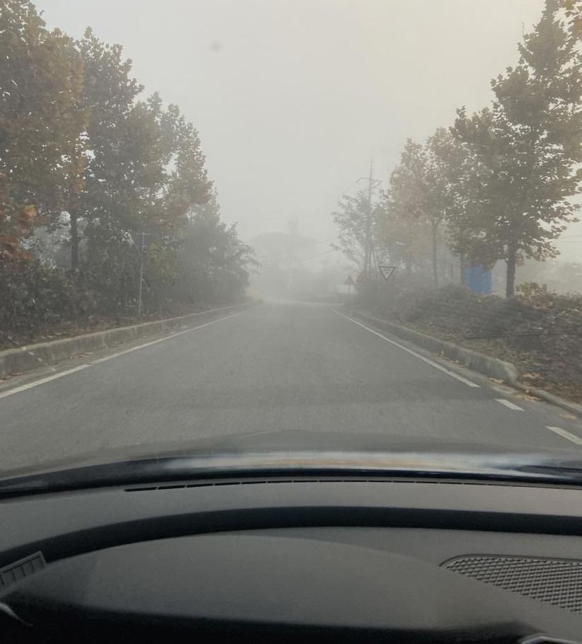 일출 후-복귀-안개
