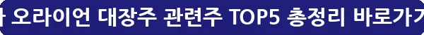 메타 오라이언 대장주 관련주 TOP5 총정리_26