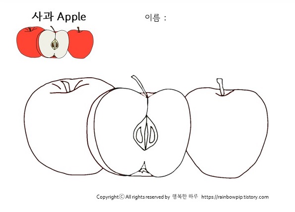 색칠공부-사과도안(coloring-apple)