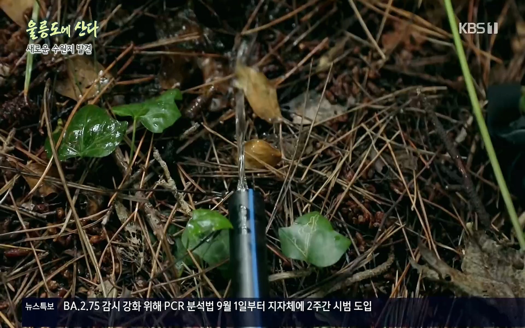 다큐울릉도에산다.E01.220909p.H264-F1RST.mp4_20220912_180551.199.jpg