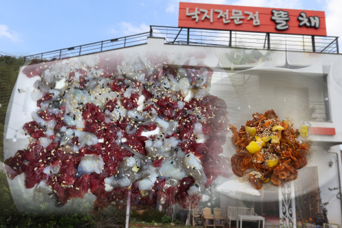  뜰채 | 낙지볶음 맛집 | 전남 목포 [음식점 추천]