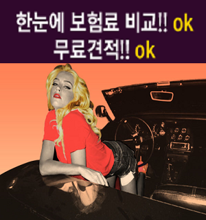  유리한 내자동차보험조회 갱신부터 첫차보험료 까지... 모두