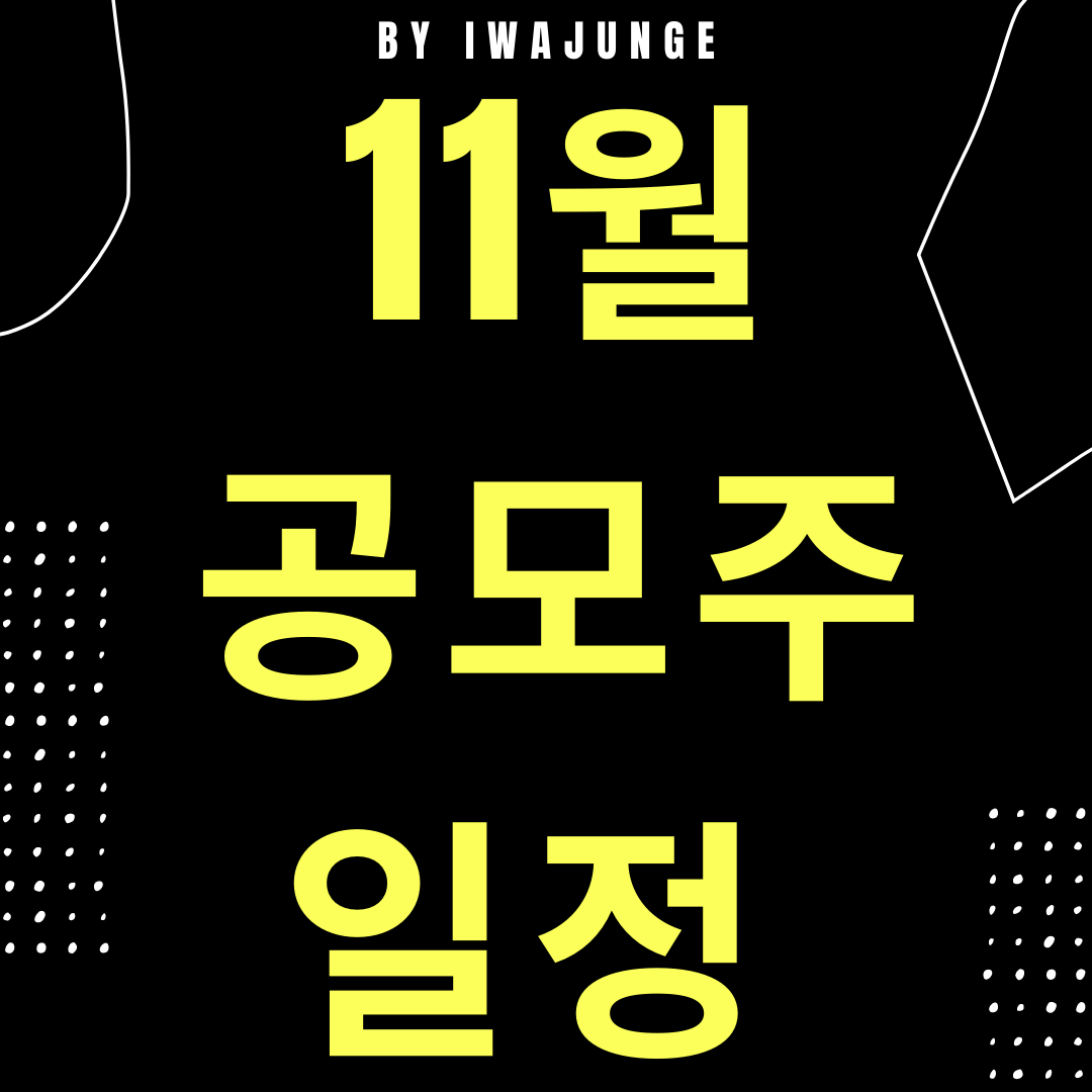  11월 공모주 일정 확인