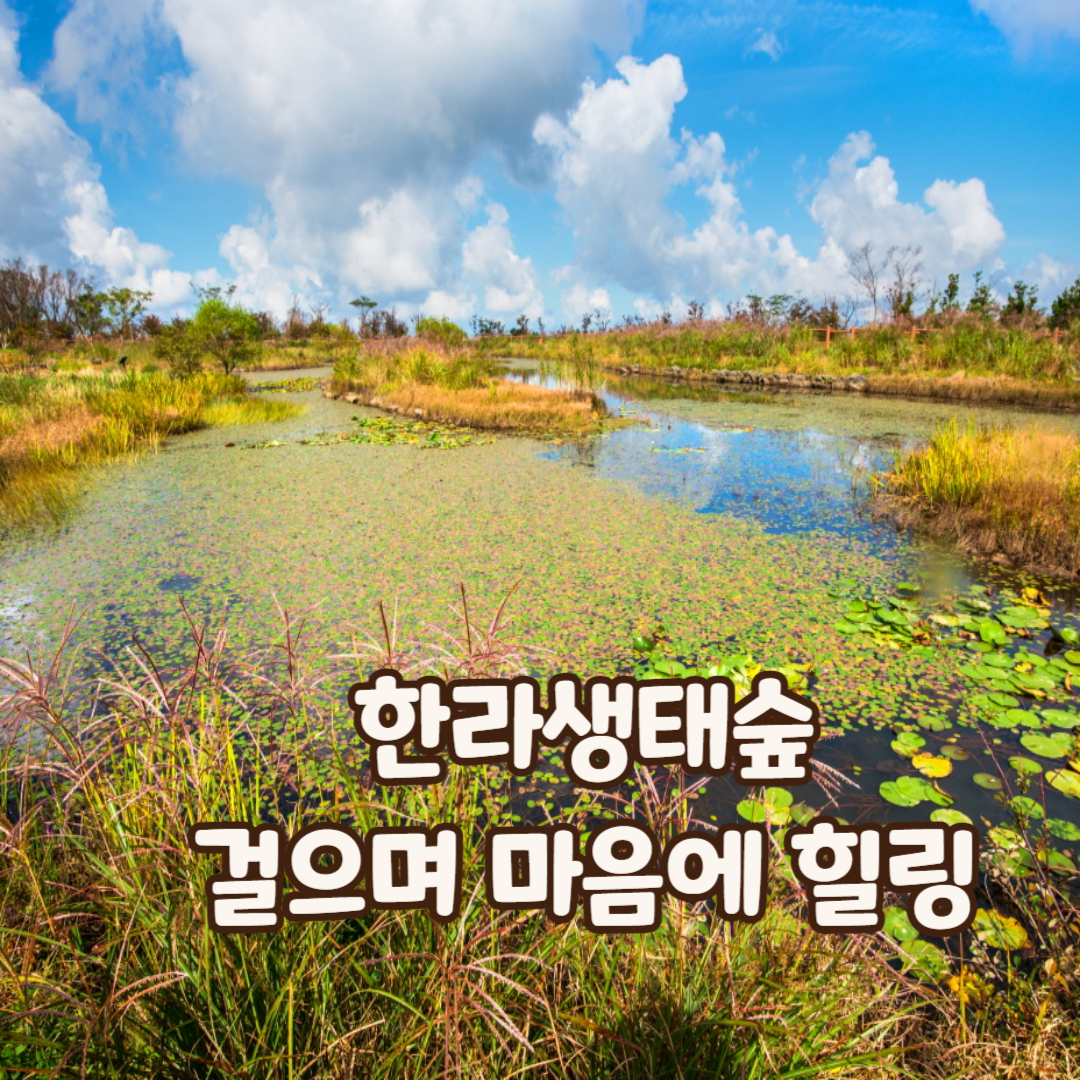 제주-한라생태숲