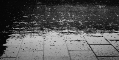 비 오는날 길거리 사진