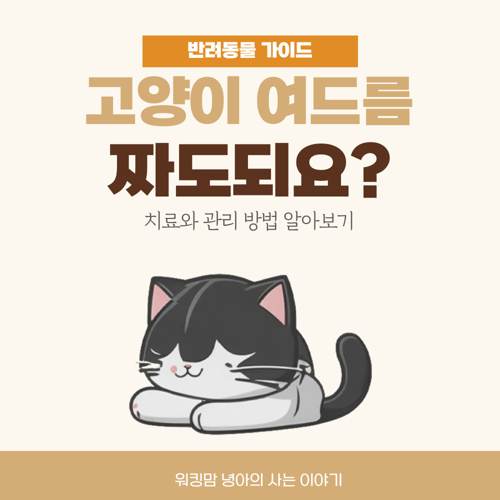 고양이-여드름-포스팅-대문이미지