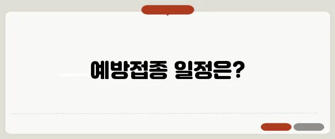 질병관리청 예방접종 일정 확인 필수 가이드!