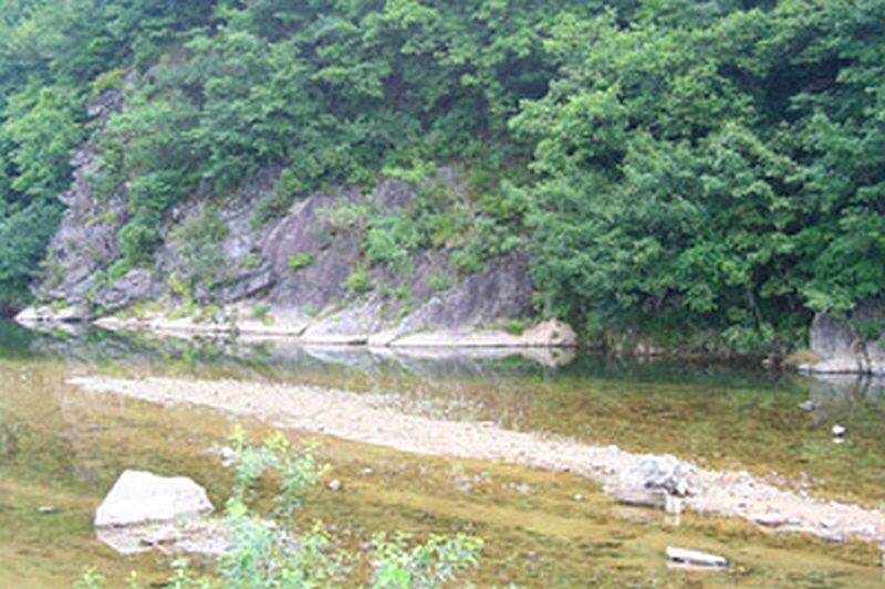 충주 봉황계곡