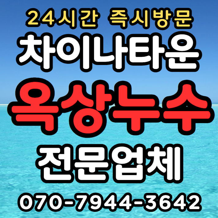 차이나타운 외벽누수1