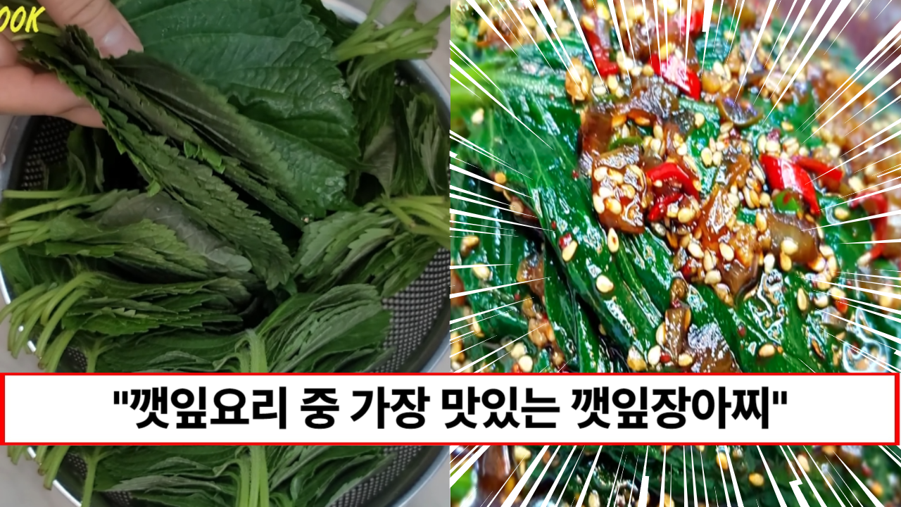 “깻잎 반찬 중에 단연코 최고입니다” 기절하게 맛있는 양념 깻잎 장아찌 레시피 1가지