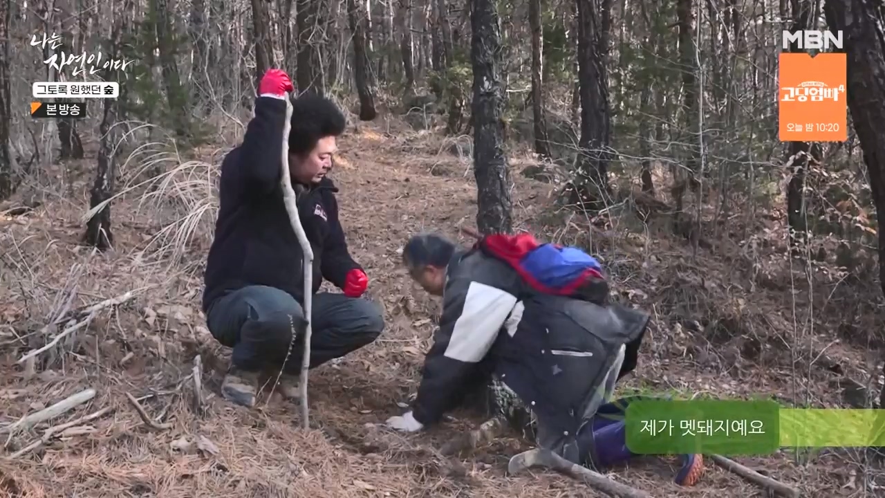 나는 자연인이다.E591.240132p-NEXT.mp4_20240201_195747.771.jpg