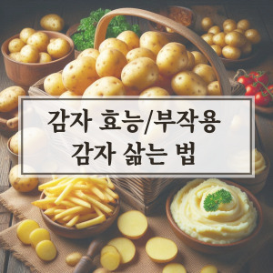 감자 효능 및 부작용, 감자 삶는 법, 보관법 총정리