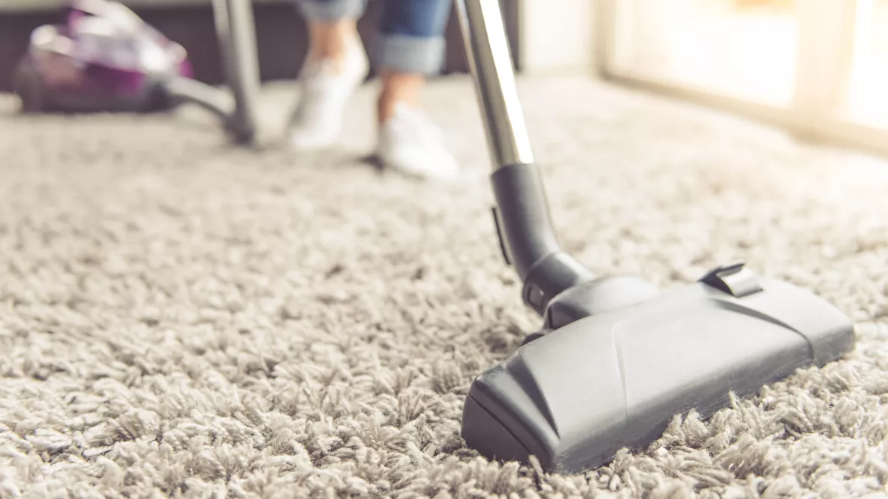 카펫 청소기(이미지 출처: Shutterstock)