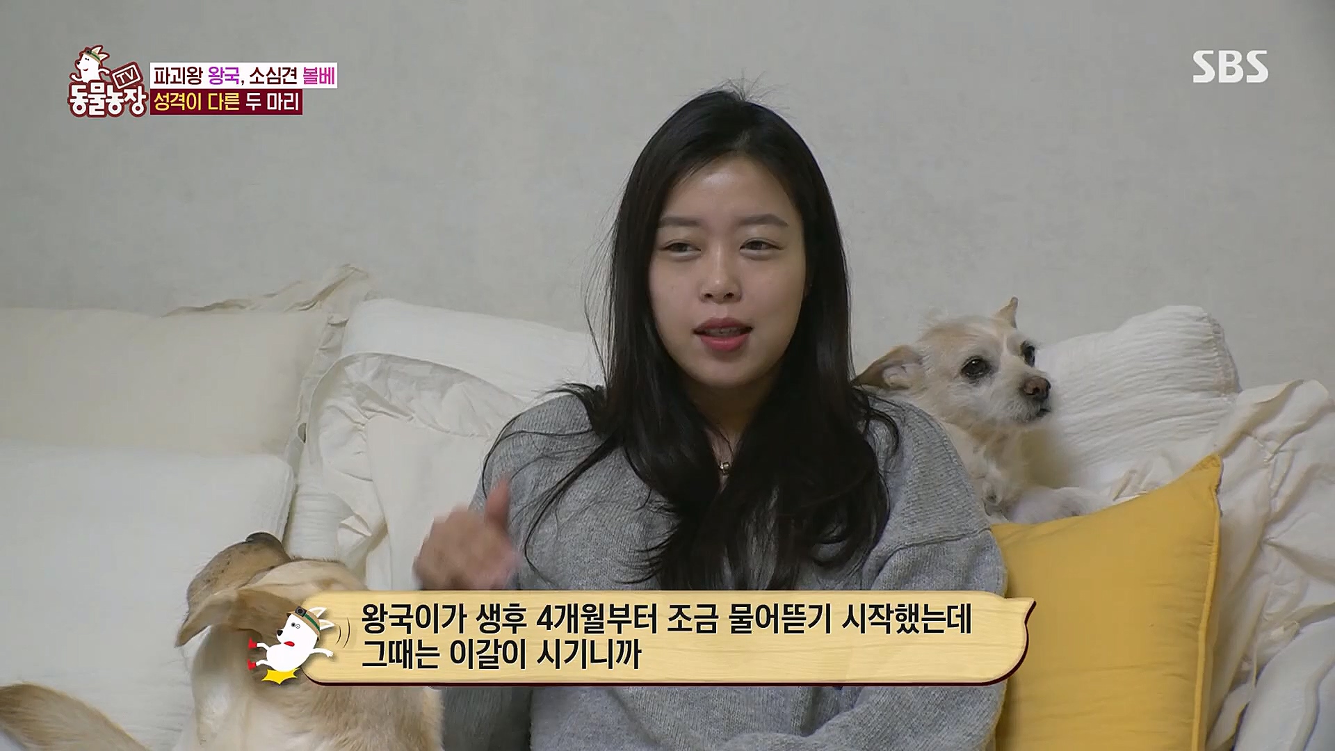 TV 동물농장.E1106.230129p.H264-F1RST.mp4_20230130_192726.243.jpg