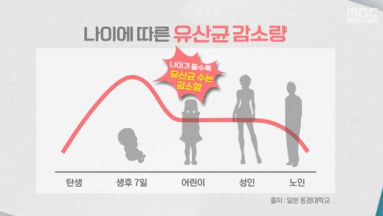  실크피브로인유산균 효능 주의사항