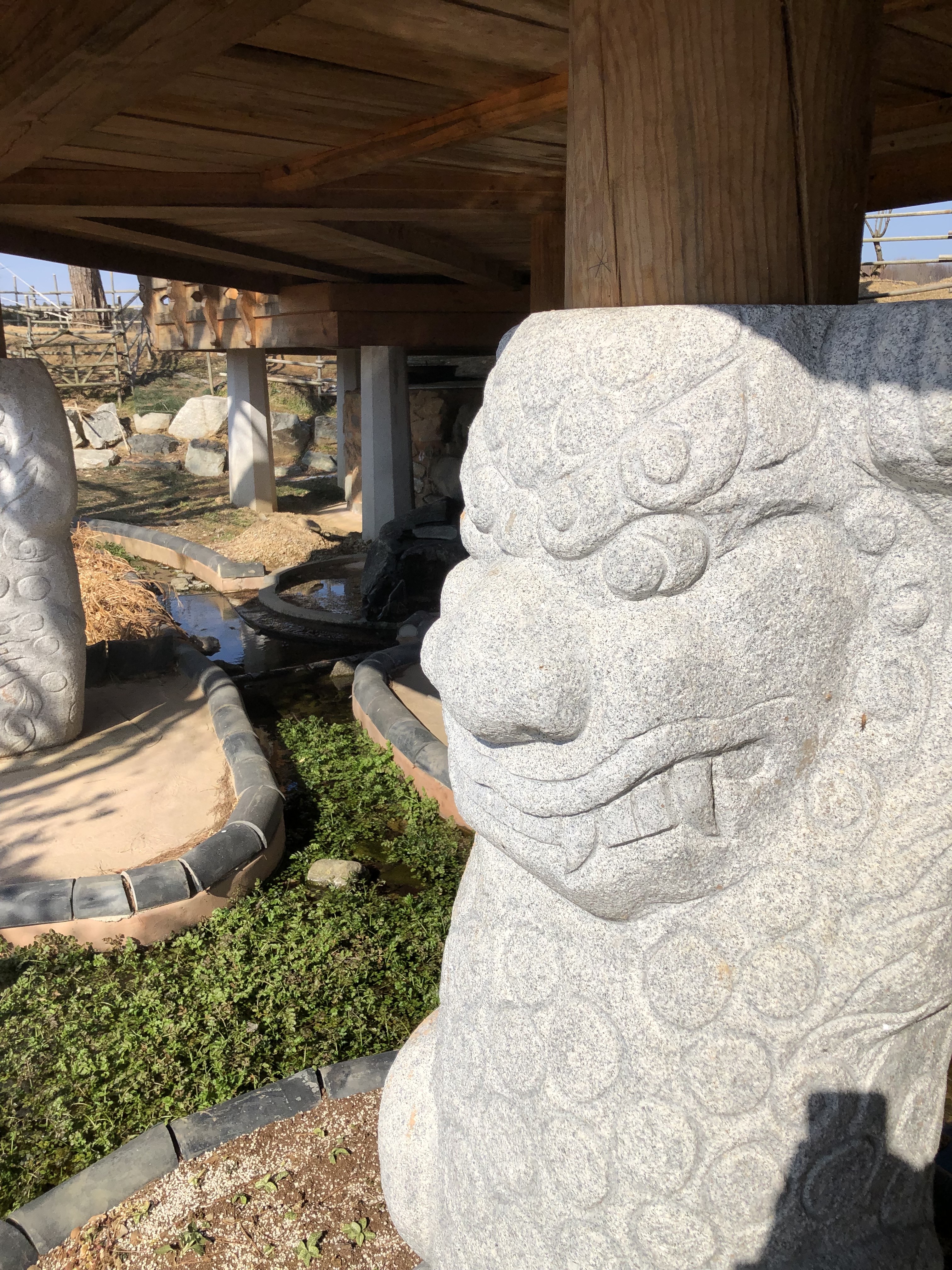  미나리, 꽃잔디 겨울의 모진 혹한을 견디고 꽃을 피우다