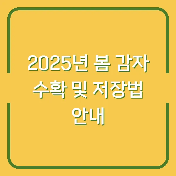 2025년 봄 감자 수확 및 저장법 안내