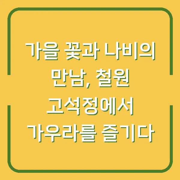 가을 꽃과 나비의 만남, 철원 고석정에서 가우라를 즐기다