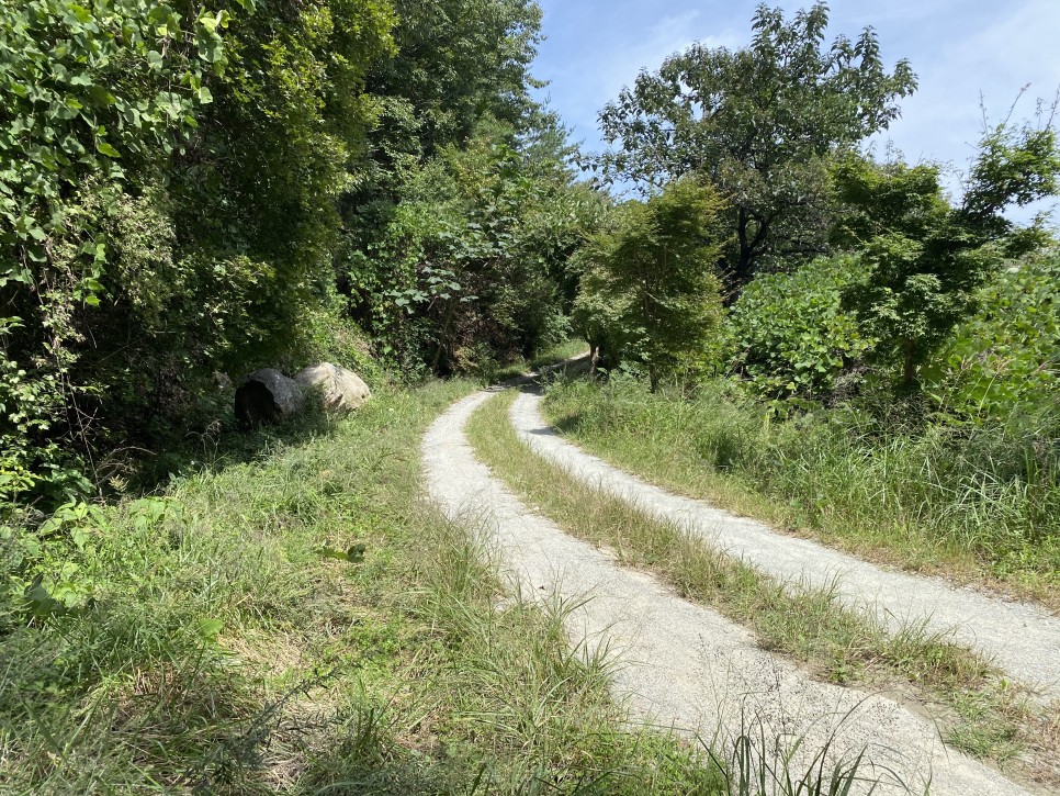 홍길동이 다녀간 15