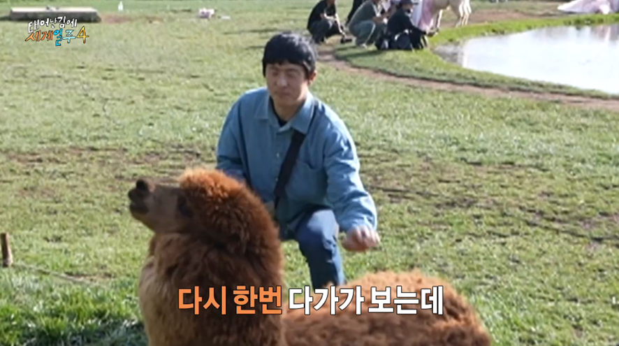 태계일주 시즌1에서 못한 소원 드디어 이뤘다는 기안 | 인스티즈