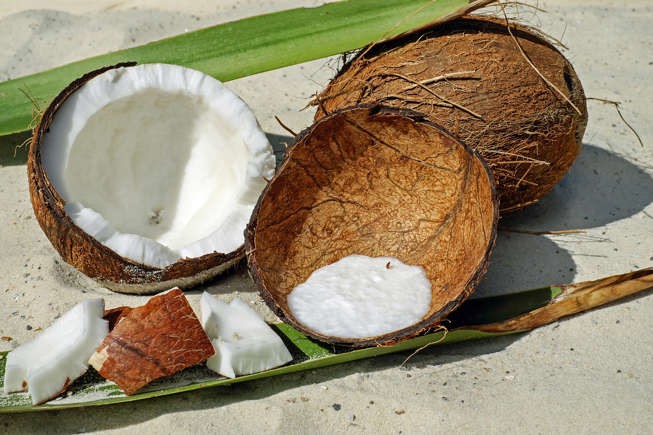 코코넛-건강한 고지방 식품