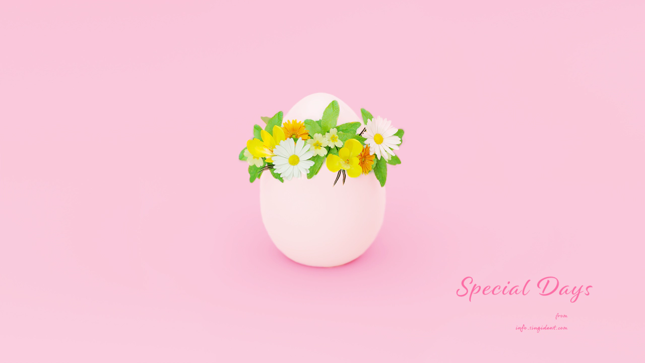 05 흰달걀과 꽃 C - Special Days 꽃배경화면