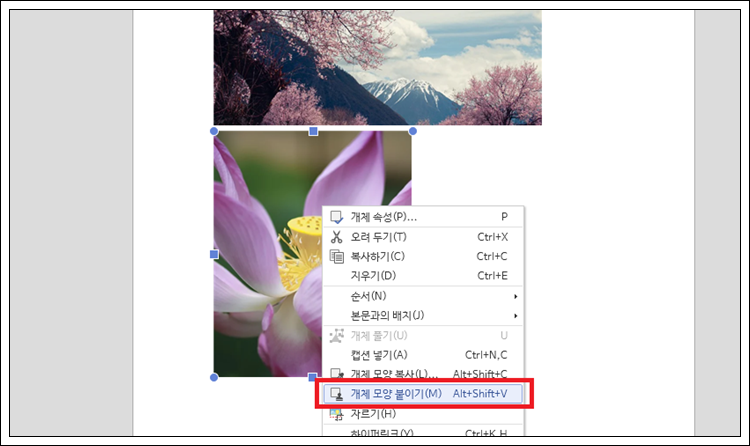 한글 이미지 사진 크기 동일하게 설정