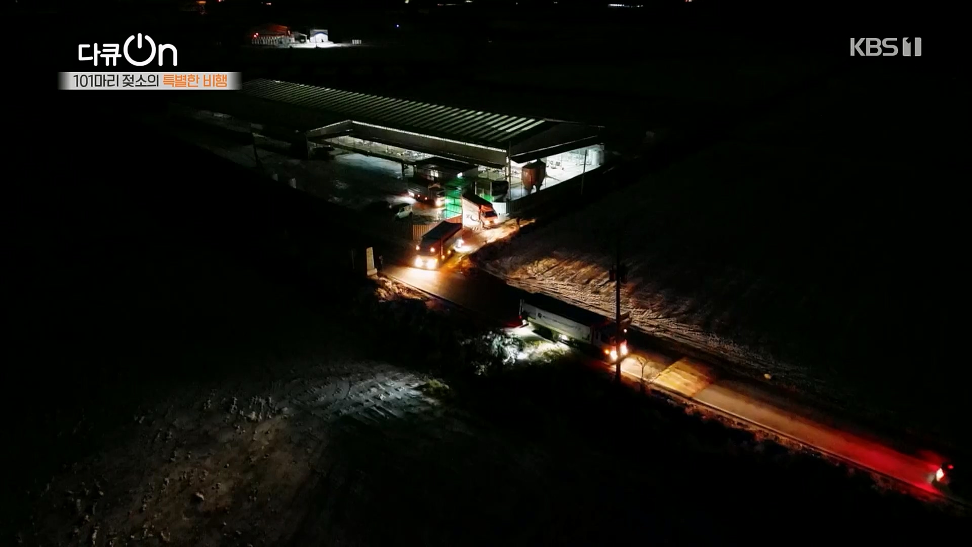 다큐 On.E184.230203p.H264-F1RST.mp4_20230211_175649.869.jpg