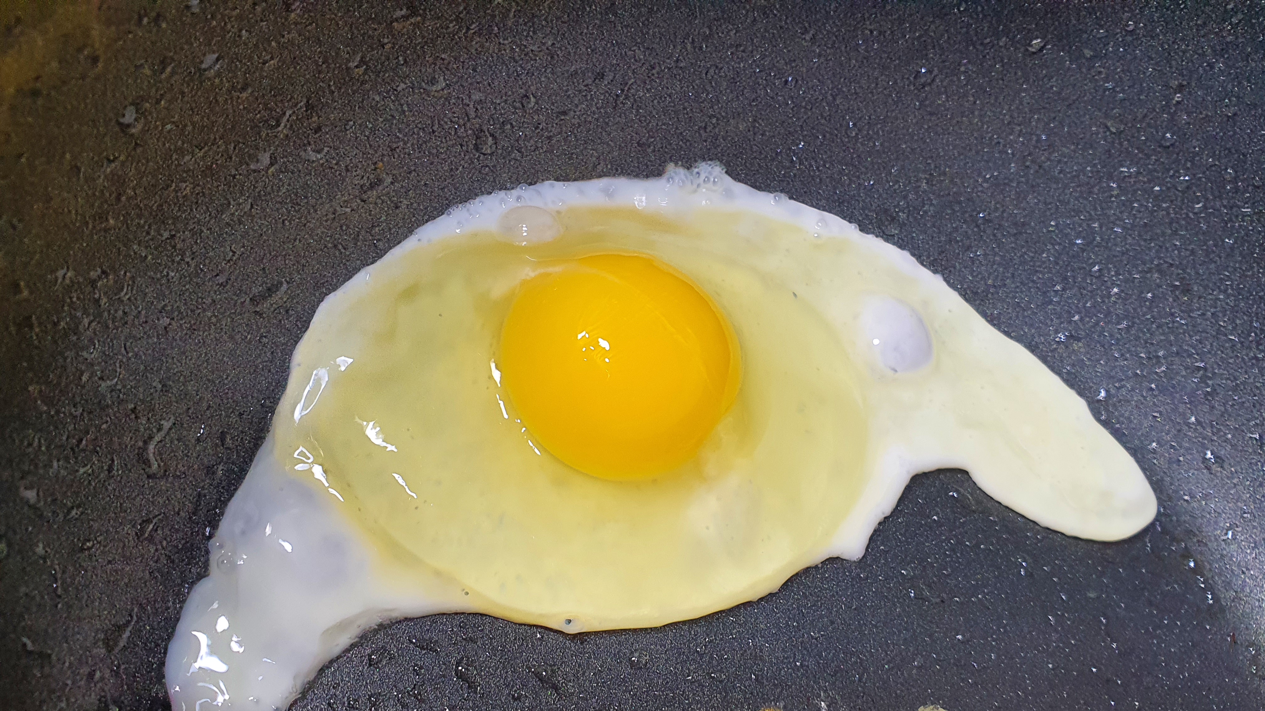 계란후라이 하는 장면/흰자가 탱글탱글함