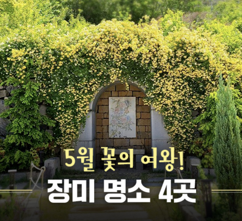  5월 꽃의 여왕 장미! 장미 명소 BEST 4