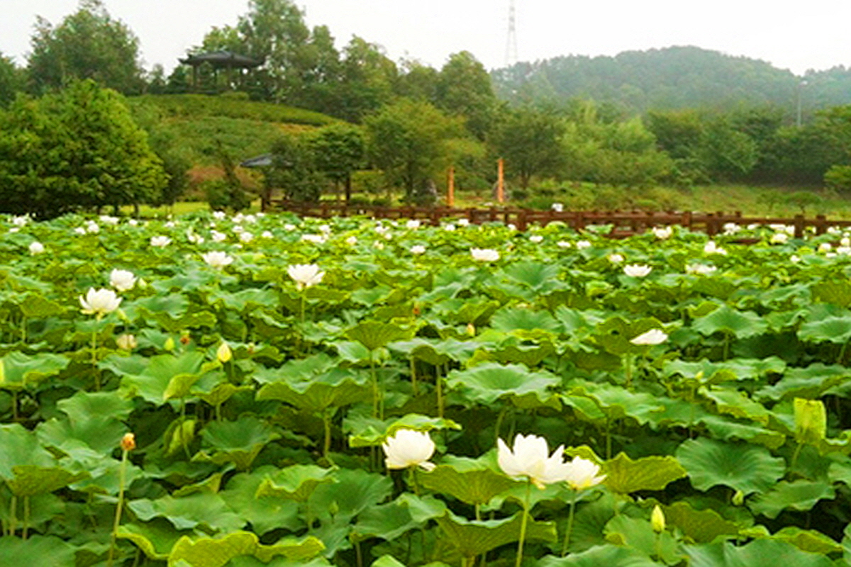 옥천 농심테마공원