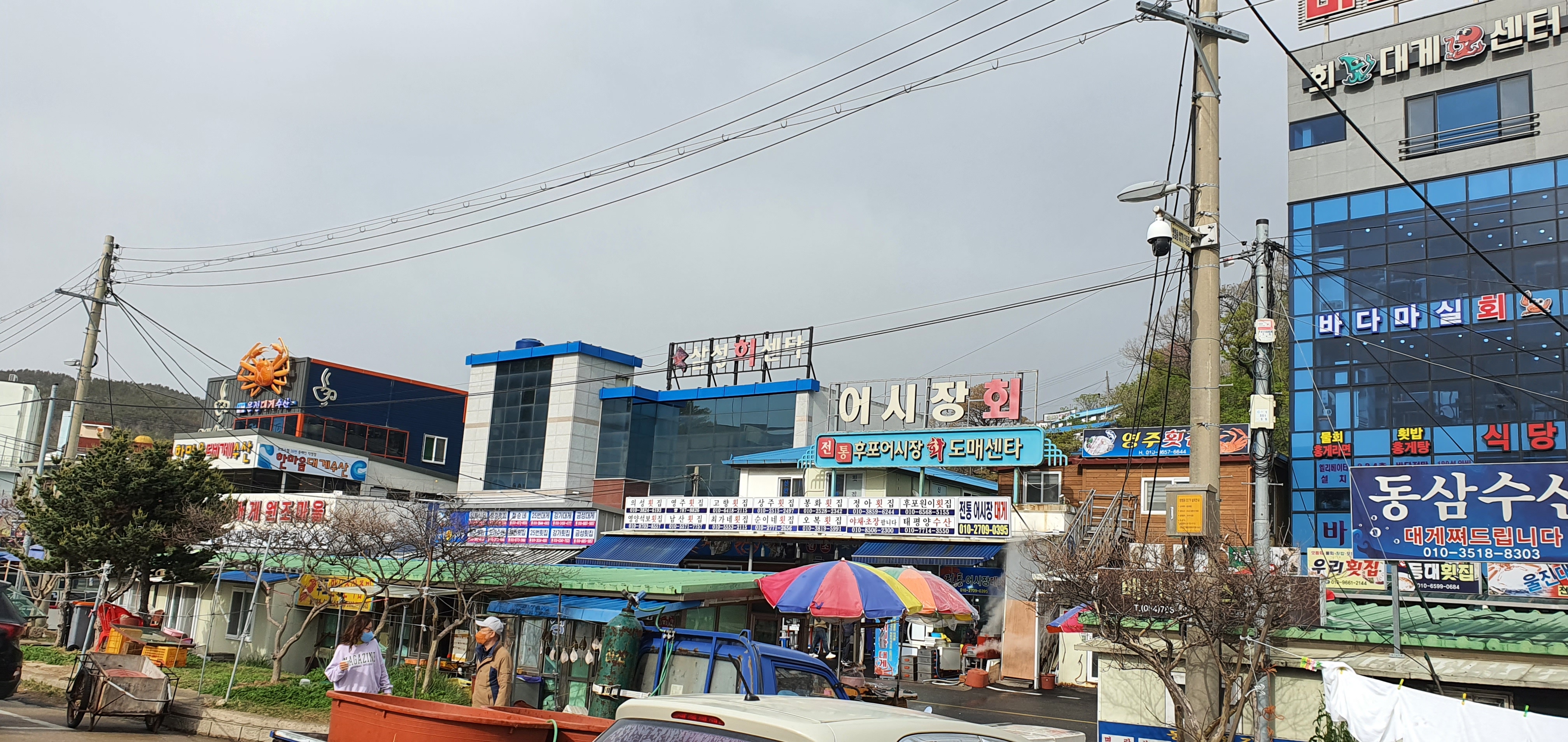 [관광지소개] 후포리 어시장 백년손님 남서방 경북 울진군 관광지 갓바위 등기산 신석기유적관 후포등기산공원 갓바위전망대
