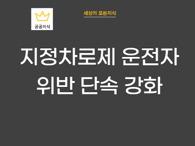 지정차로제 위반 단속 강화