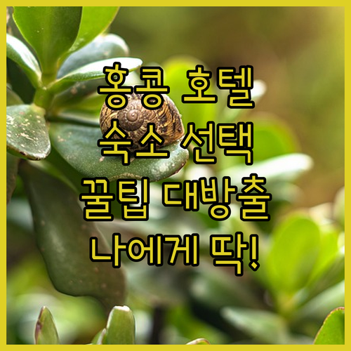 홍콩 호텔 고민 끝 숙소 선택 꿀팁 