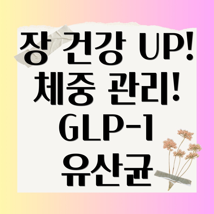 GLP-1 유산균