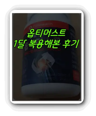 옵티머스트 후기