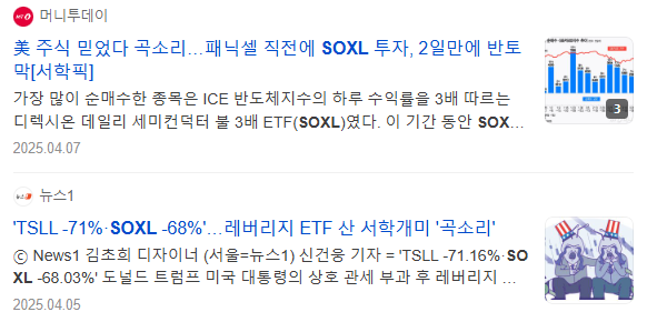 미국증시 폭락으로 인한 레버리지ETF 우려