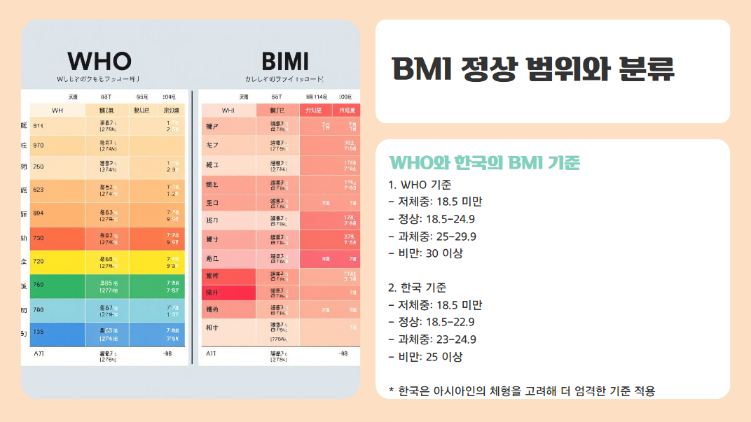 BMI 정상 범위 분류