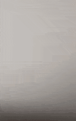  쌍둥이 산모의 9개월간의 몸 변화.gif