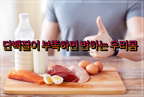  우리 몸에 단백질이 부족하면 생기는 몸의 변화 7가지 | 단백질 부족증상7(건강정보)