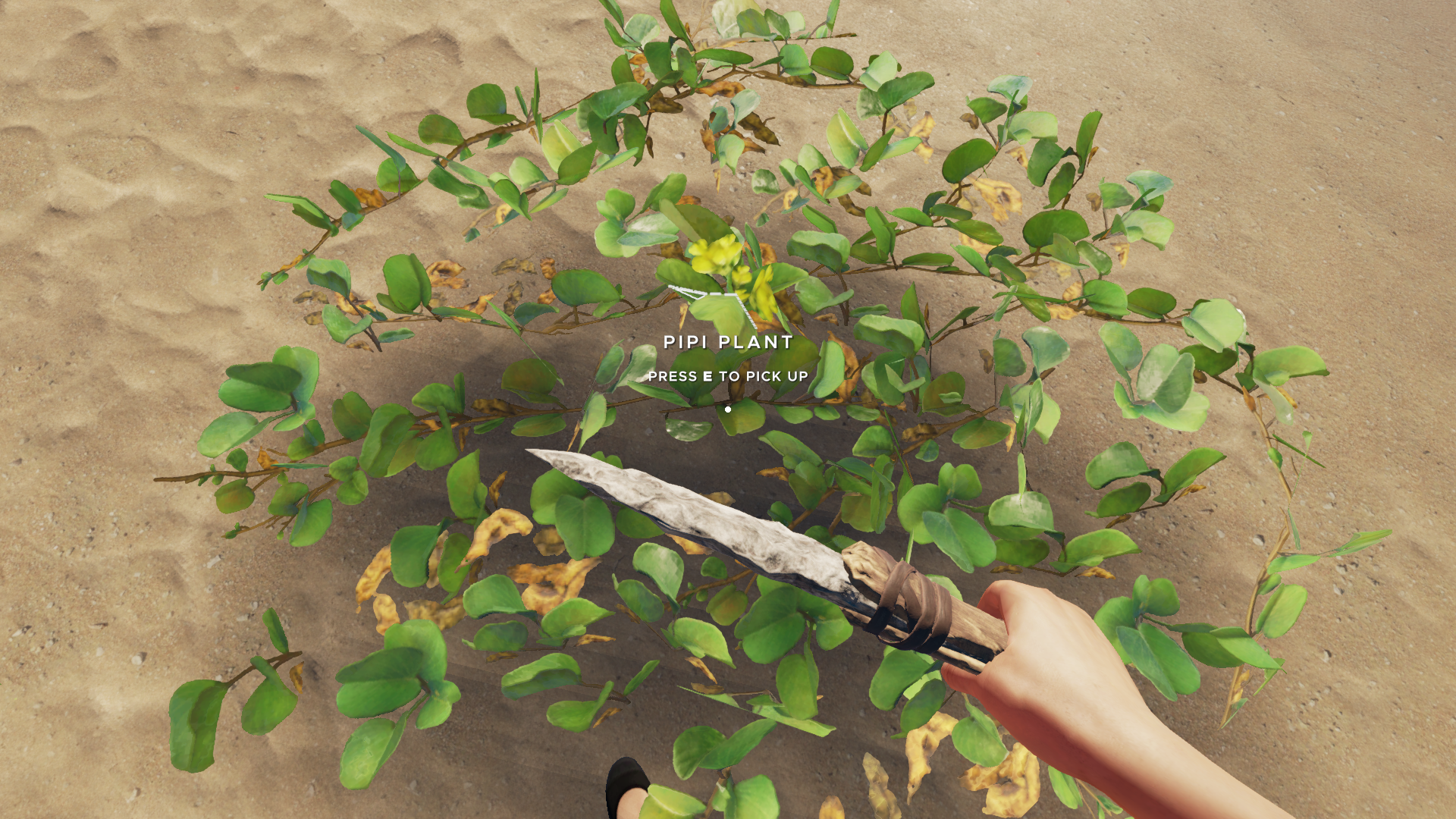 stranded deep pipi plant