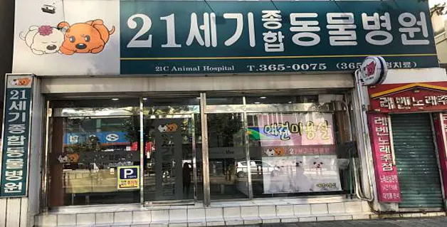 21세기동물병원