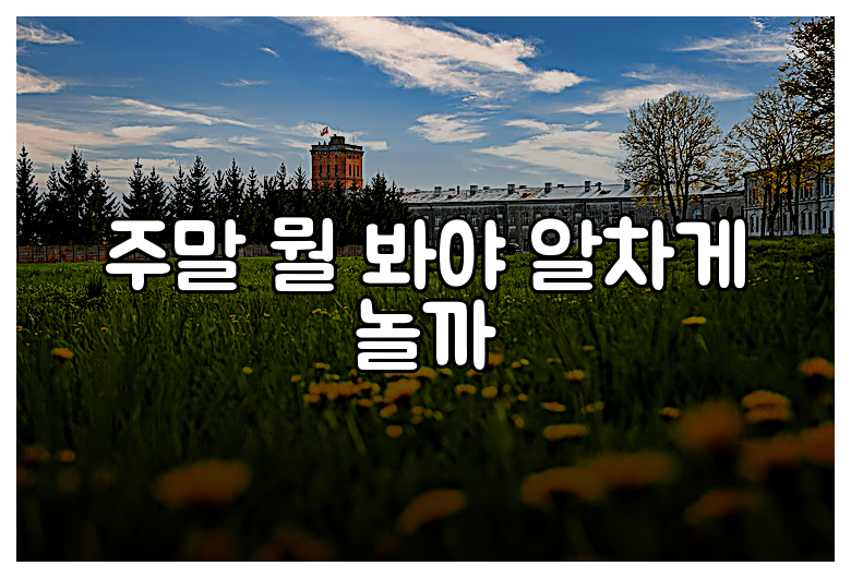 주말 뭘 봐야 알차게 놀까