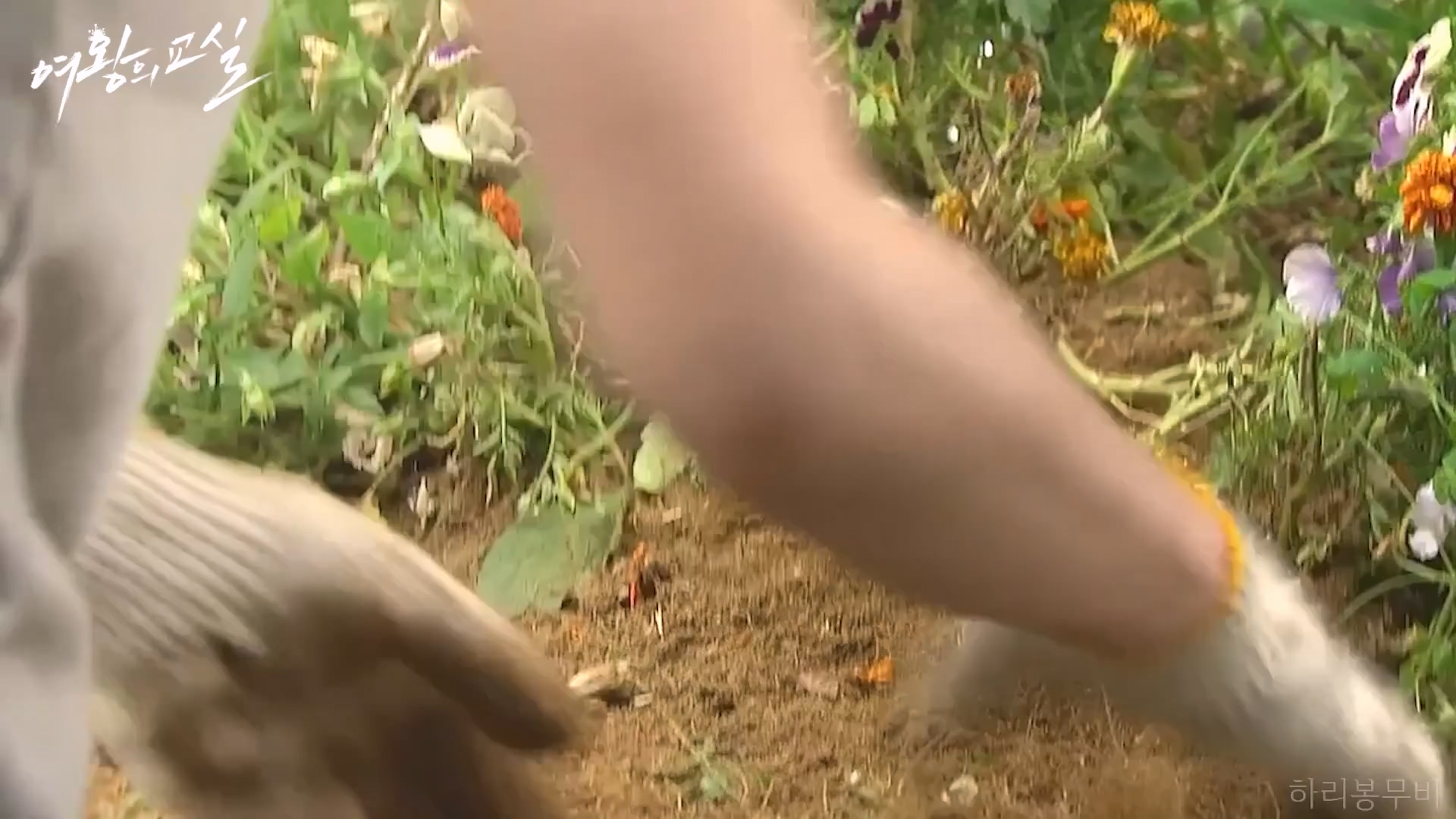 🔥절도,학교 방화 미수하는 무개념 초딩들 참교육하는 사이코패스 선생님🔥 ㄷㄷ일본 레전드 드라마를 리메이크한 한국 드라마 처음부터 결말까지 한 방에 몰아보기!!.mp4_20231111_154055.565.jpg