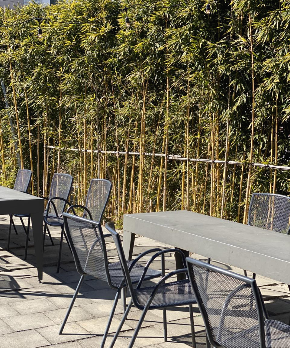 강릉 버드나무 브루어리의 야외 테이블